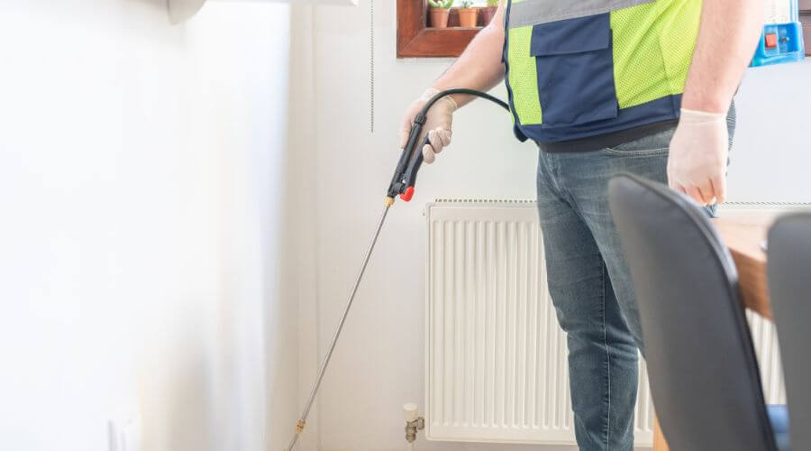 Professional pest control services in Sacramento